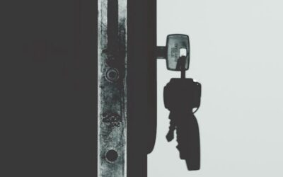 Koszt Wymiany Drzwi Wejściowych i Co Warto Wiedzieć