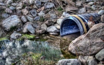 Ile kosztuje szambo betonowe 10 m³ z montażem w 2023 roku