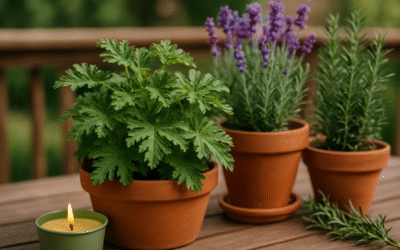 Rośliny, które odstraszają komary na tarasie i zapewnią letni spokój