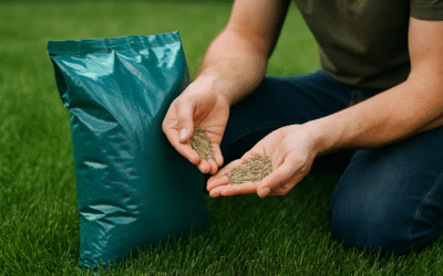 Jak wybrać nasiona trawy odporną na deptanie i stworzyć piękny trawnik?